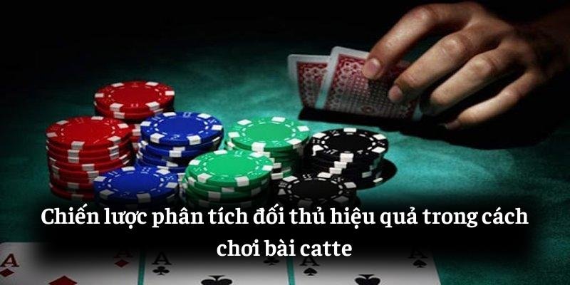 Chiến lược phân tích đối thủ hiệu quả trong cách chơi bài catte